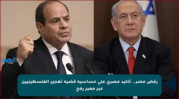 رفض مصر.. تأكيد مصري على حساسية قضية تهجير الفلسطينيين عبر معبر رفح
